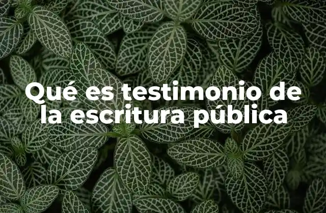 La importancia del testimonio en escrituras públicas