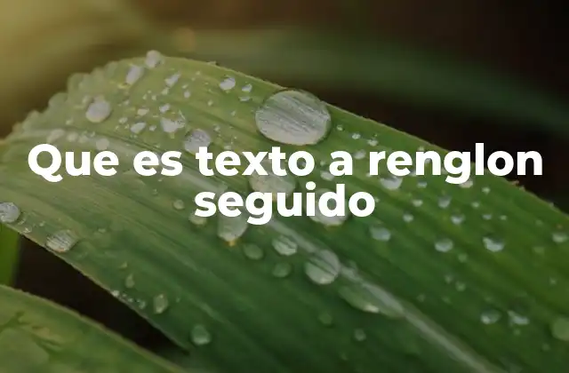 Que es Texto a Renglon Seguido