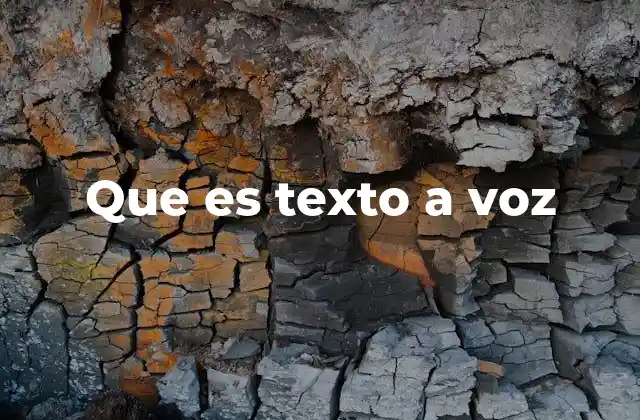 Que es Texto a Voz