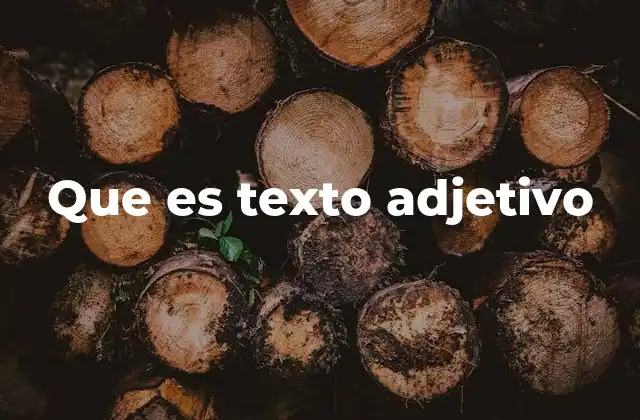 Que es Texto Adjetivo