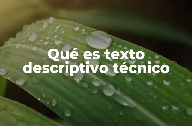 Qué es Texto Descriptivo Técnico