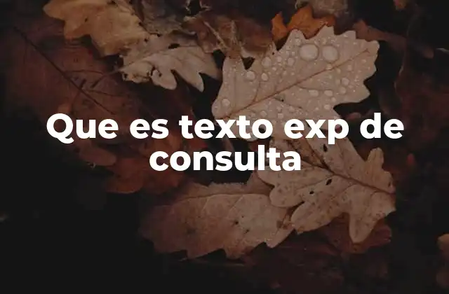 Que es Texto Exp de Consulta
