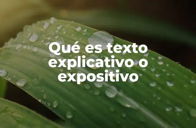 El papel del texto expositivo en la comunicación académica y profesional