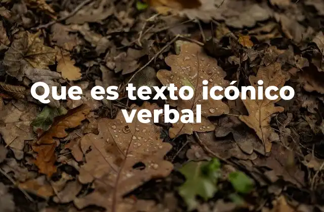 Que es Texto Icónico Verbal