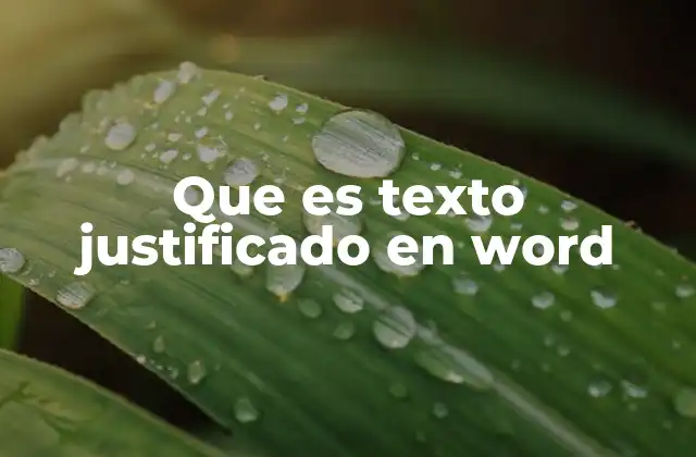 Que es Texto Justificado en Word