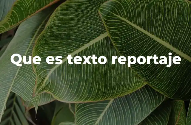 Que es Texto Reportaje
