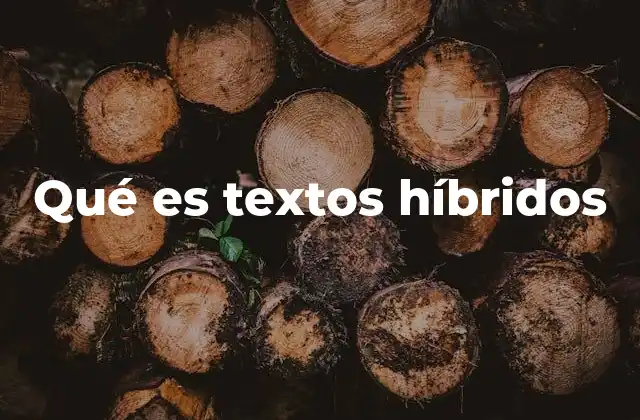 Qué es Textos Híbridos