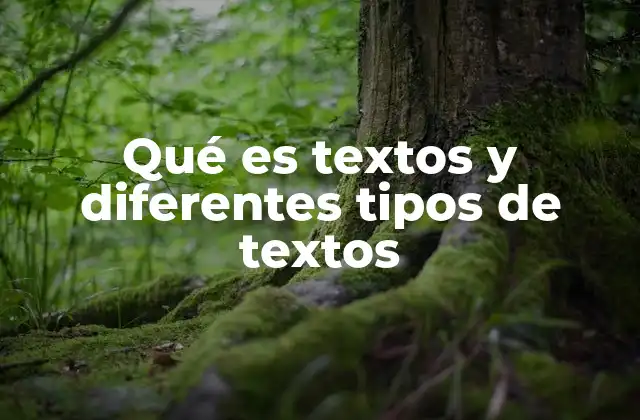 Qué es Textos y Diferentes Tipos de Textos 2 Cómo se clasifican los textos según su función y estructura