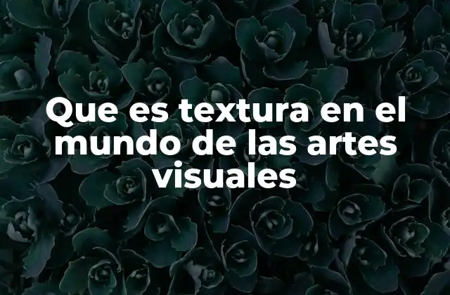 Que es Textura en el Mundo de las Artes Visuales
