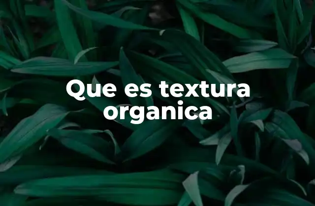 Que es Textura Organica