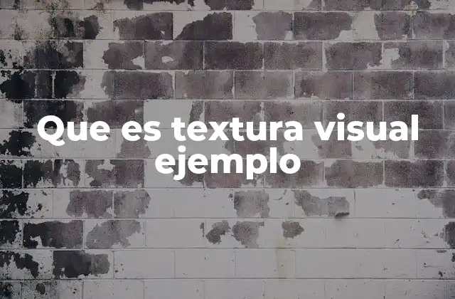 Que es Textura Visual Ejemplo