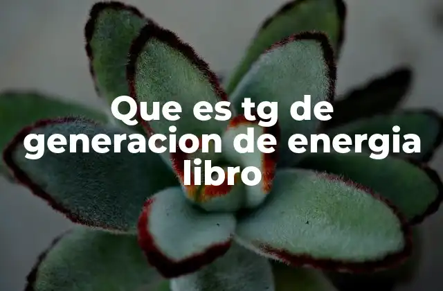 La importancia del libro de generación en el sistema eléctrico