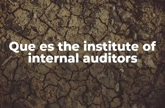 Que es The Institute Of Internal Auditors