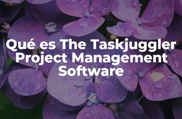 Qué es The Taskjuggler Project Management Software