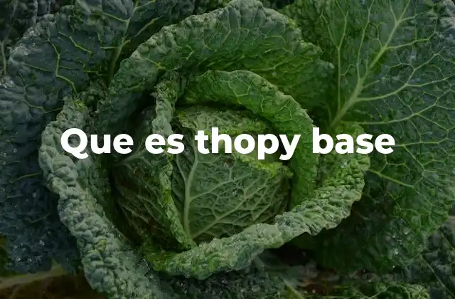Que es Thopy Base