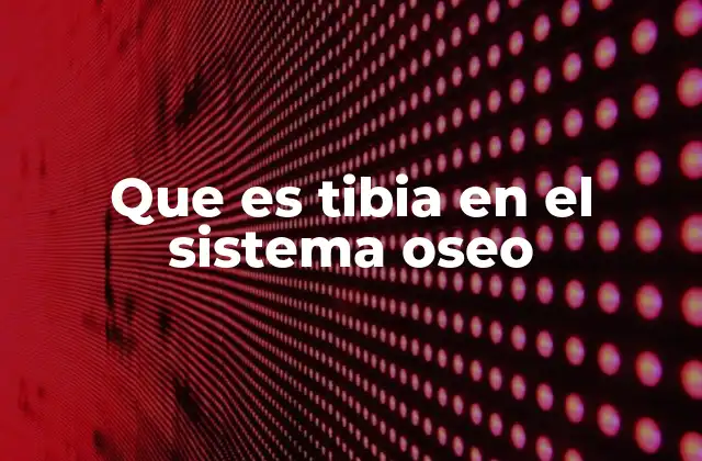 Que es Tibia en el Sistema Oseo 2 La tibia como eje central de la pierna