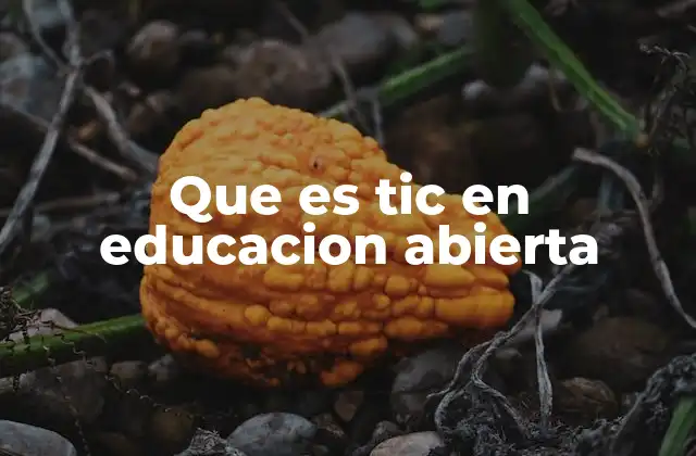 Que es Tic en Educacion Abierta