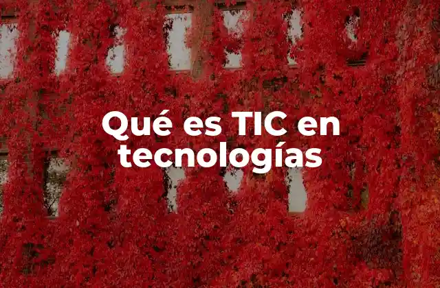 Qué es Tic en Tecnologías