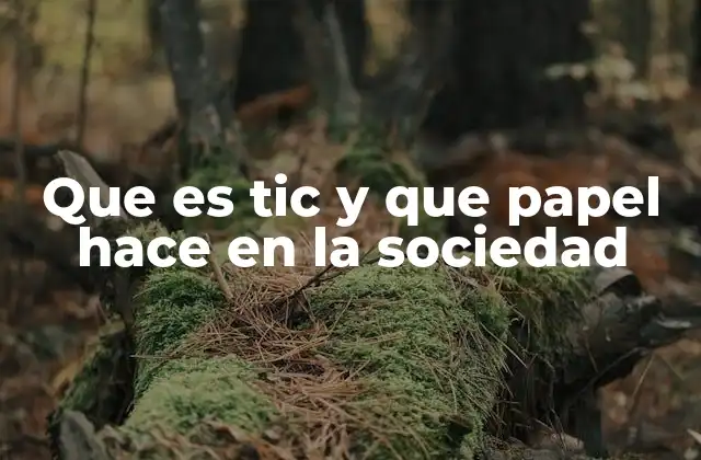 Que es Tic y que Papel Hace en la Sociedad