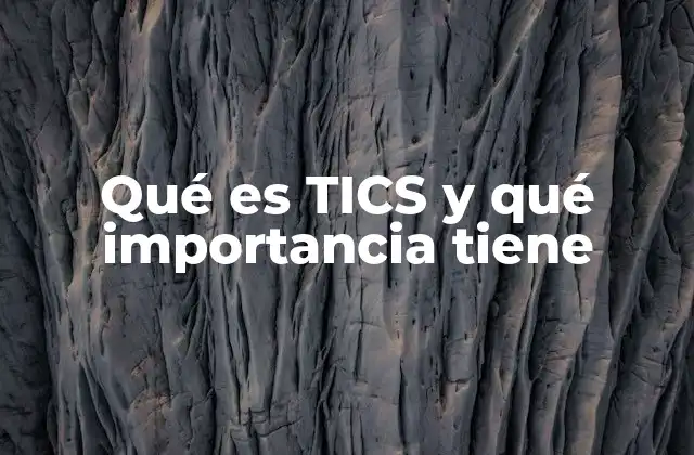 Qué es Tics y Qué Importancia Tiene