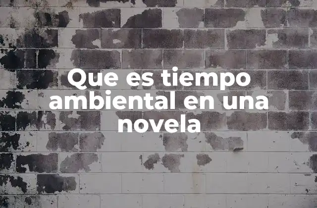 Que es Tiempo Ambiental en una Novela
