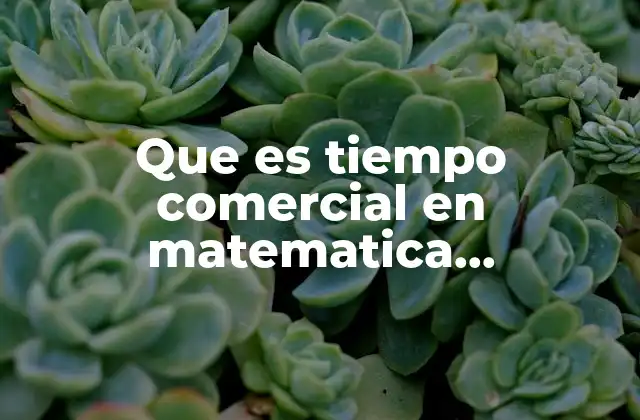Que es Tiempo Comercial en Matematica Financieras