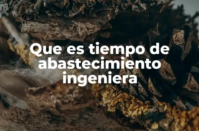 Que es Tiempo de Abastecimiento Ingeniera