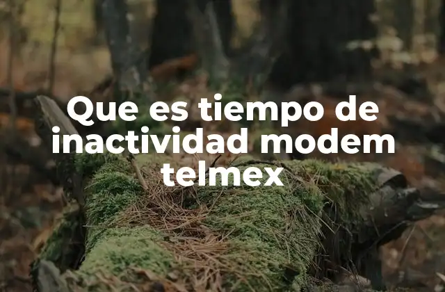 Que es Tiempo de Inactividad Modem Telmex