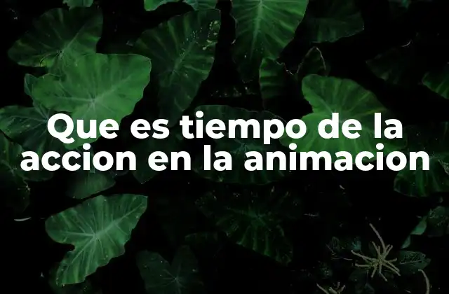 Que es Tiempo de la Accion en la Animacion
