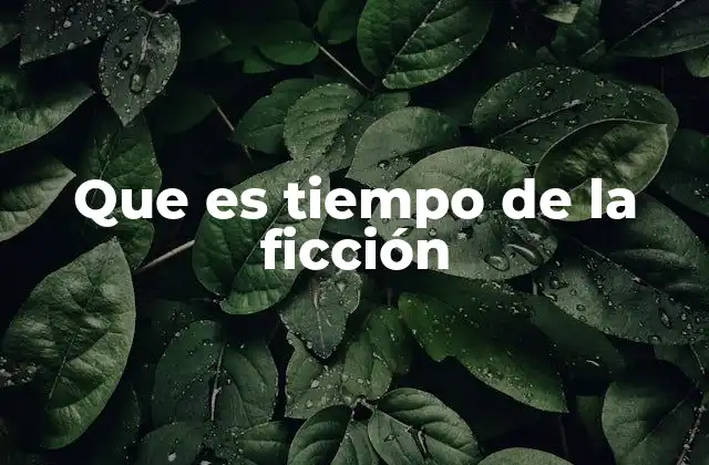 Que es Tiempo de la Ficción