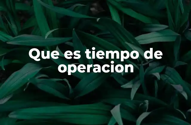 Que es Tiempo de Operacion