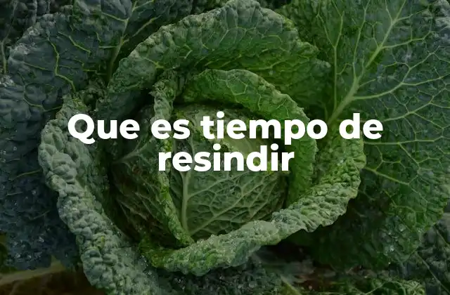 El rol del tiempo en la estabilidad residencial