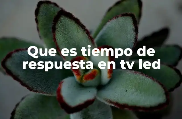 Que es Tiempo de Respuesta en Tv Led