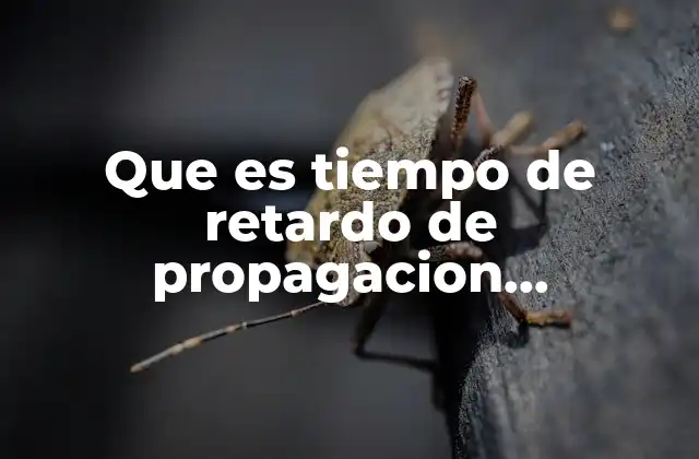 Que es Tiempo de Retardo de Propagacion Electronica