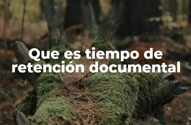 La importancia de la gestión documental en el entorno moderno