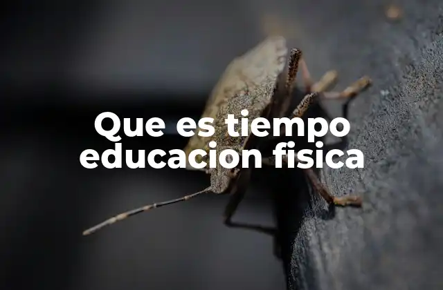 Que es Tiempo Educacion Fisica