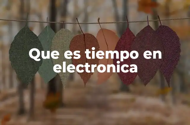 Que es Tiempo en Electronica