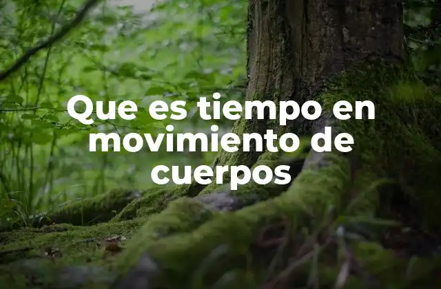 Que es Tiempo en Movimiento de Cuerpos