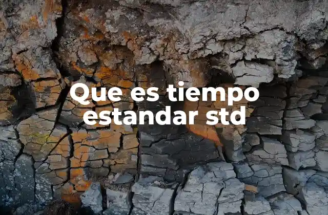 Que es Tiempo Estandar Std
