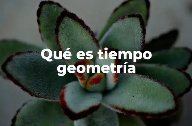Qué es Tiempo Geometría