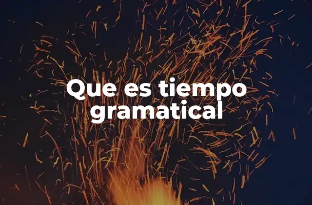 Que es Tiempo Gramatical