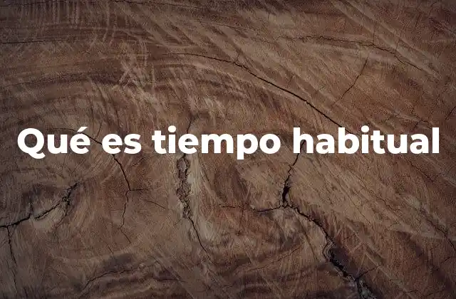 Qué es Tiempo Habitual