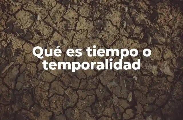 Qué es Tiempo o Temporalidad