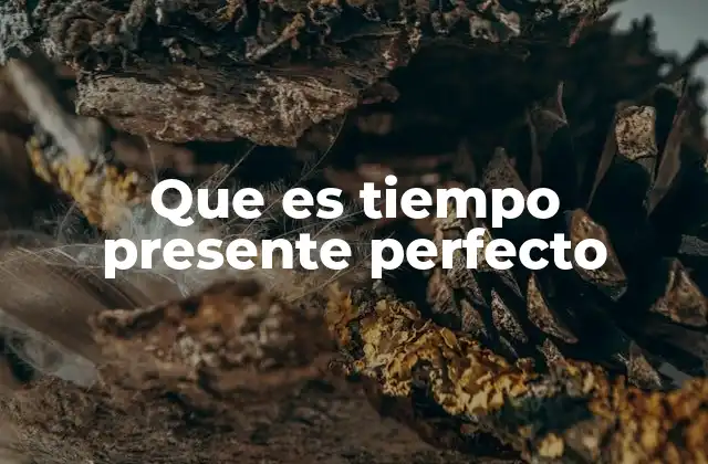 Que es Tiempo Presente Perfecto