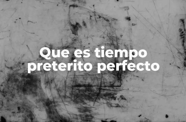 Que es Tiempo Preterito Perfecto