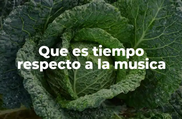 Que es Tiempo Respecto a la Musica