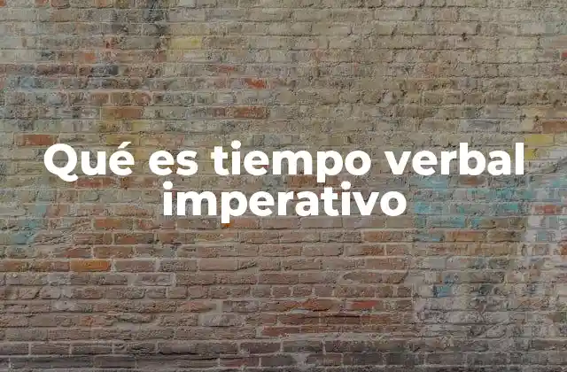 Qué es Tiempo Verbal Imperativo
