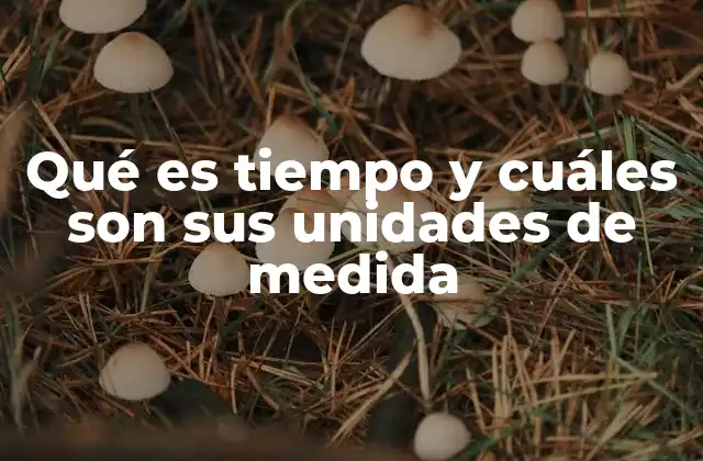 Qué es Tiempo y Cuáles Son Sus Unidades de Medida