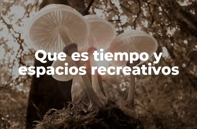 Que es Tiempo y Espacios Recreativos