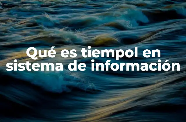 Qué es Tiempol en Sistema de Información